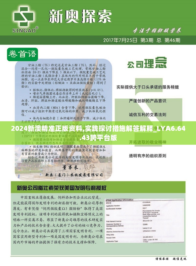 2024新澳精准正版资料,探索2024新澳精准正版资料的价值与重要性