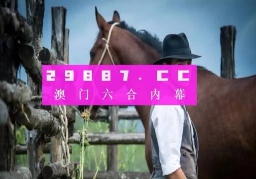 2023澳门正版全年免费资料,澳门正版全年免费资料，探索与体验