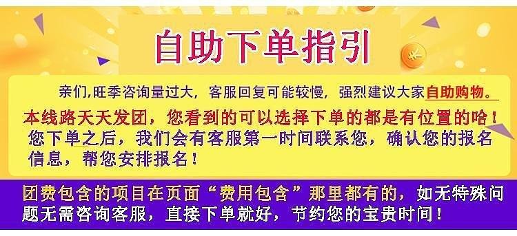 澳门天天开好彩正版挂牌,澳门天天开好彩正版挂牌，揭示背后的风险与挑战